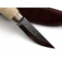 Nůž MARTTIINI LYNX CARBONIX T508 (N12)