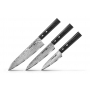 Sada kuchyňských nožů Samura Damascus 67, SD67-0220, (98 mm, 150...