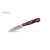 Nůž na ovoce a zeleninu Samura KAIJU (SKJ-0011) 78mm
