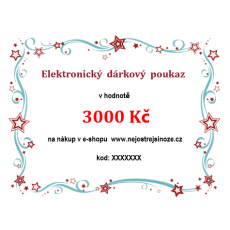 Elektronický dárkový poukaz v hodnotě 3000 Kč