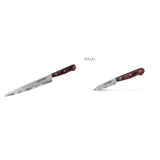 AKCE 1+1 Nůž Yanagiba na sushi Samura KAIJU (SKJ-0045) 240mm +...